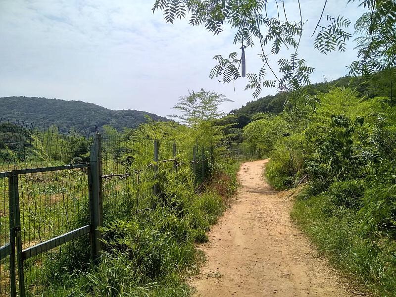 午夜福利视频在线播放廠家軍嶂古道